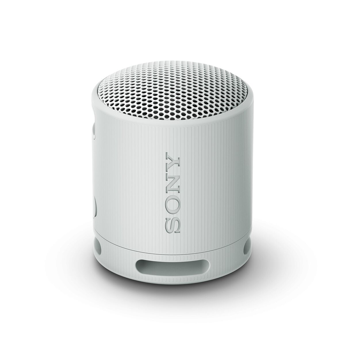 Bild von Portable Bluetooth Speakers Sony SRSXB100H Grey