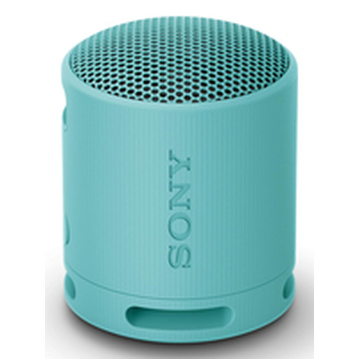 Portable Bluetooth Speakers Sony SRSXB100L Blue