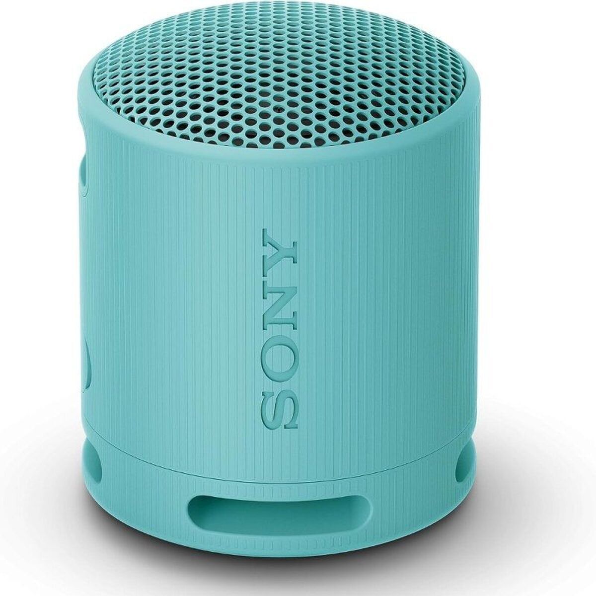 Bild von Portable Bluetooth Speakers Sony SRSXB100L Blue