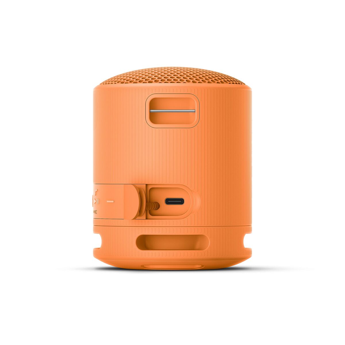 Portable Bluetooth Speakers Sony SRSXB100D Orange