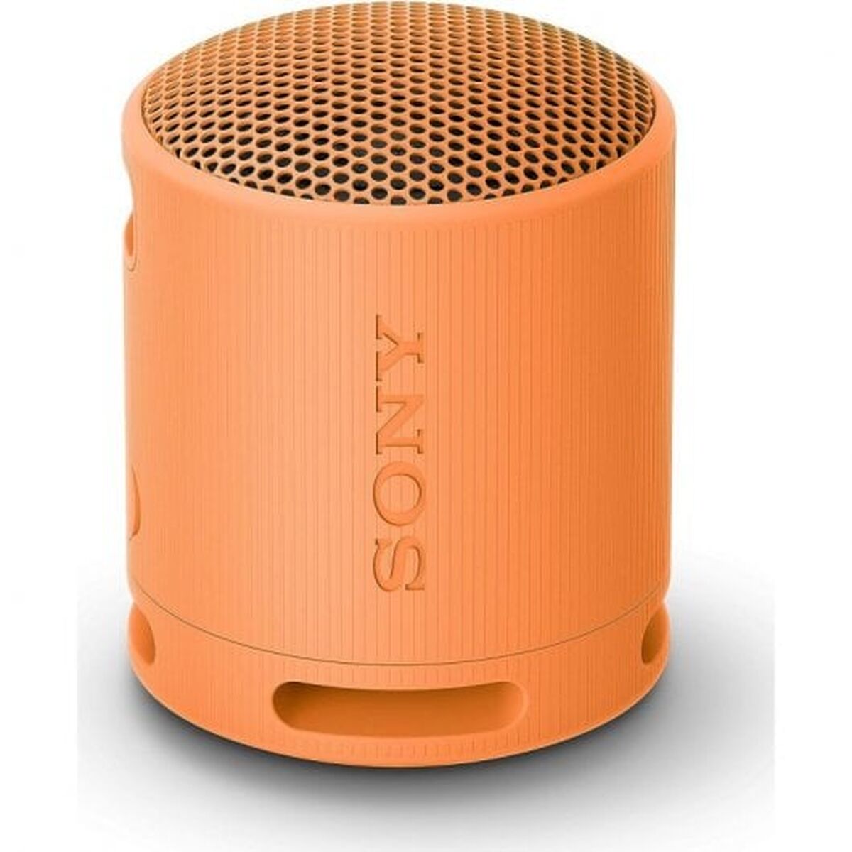 Portable Bluetooth Speakers Sony SRSXB100D Orange
