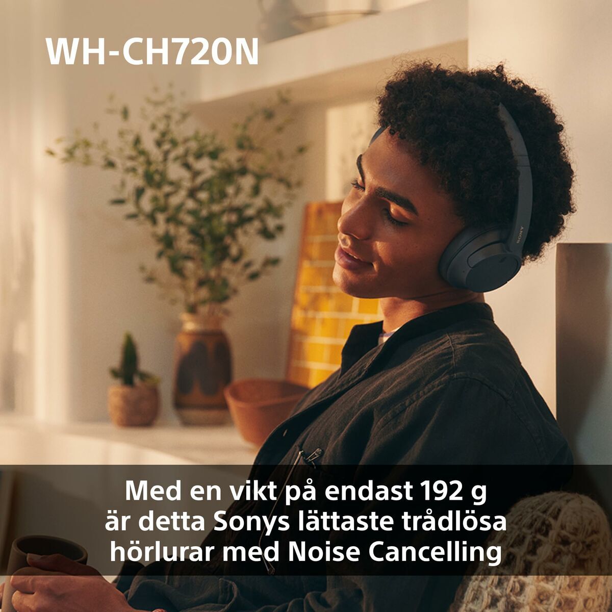 Ausinės Sony WHCH720NP     *