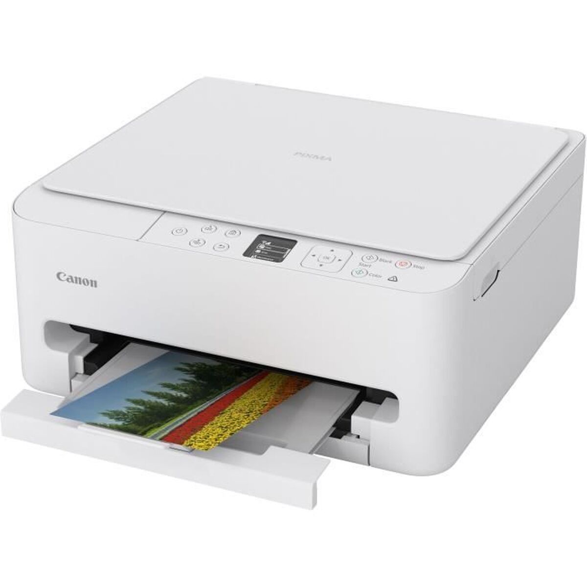Picture of Multifunction Printer Canon 7179C006