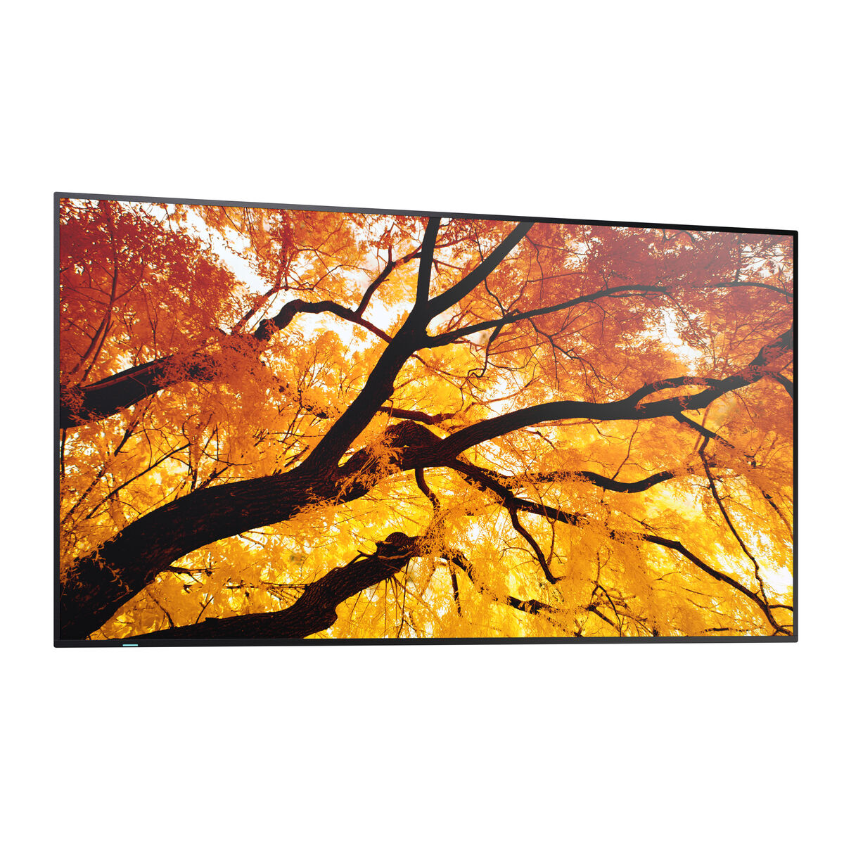 Picture of Videowall Monitor Sharp 60006053 4K Ultra HD 42,5"