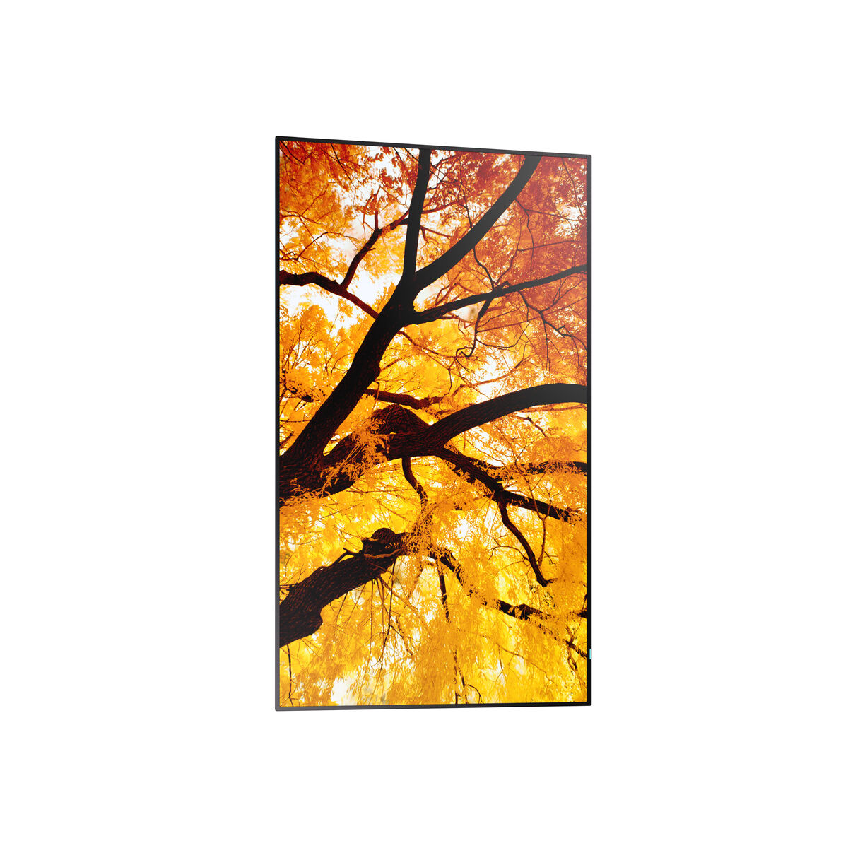 Picture of Videowall Monitor Sharp 60006053 4K Ultra HD 42,5"