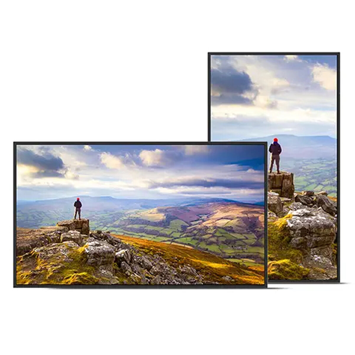 Picture of Videowall Monitor Sharp 60006181 4K Ultra HD 43"