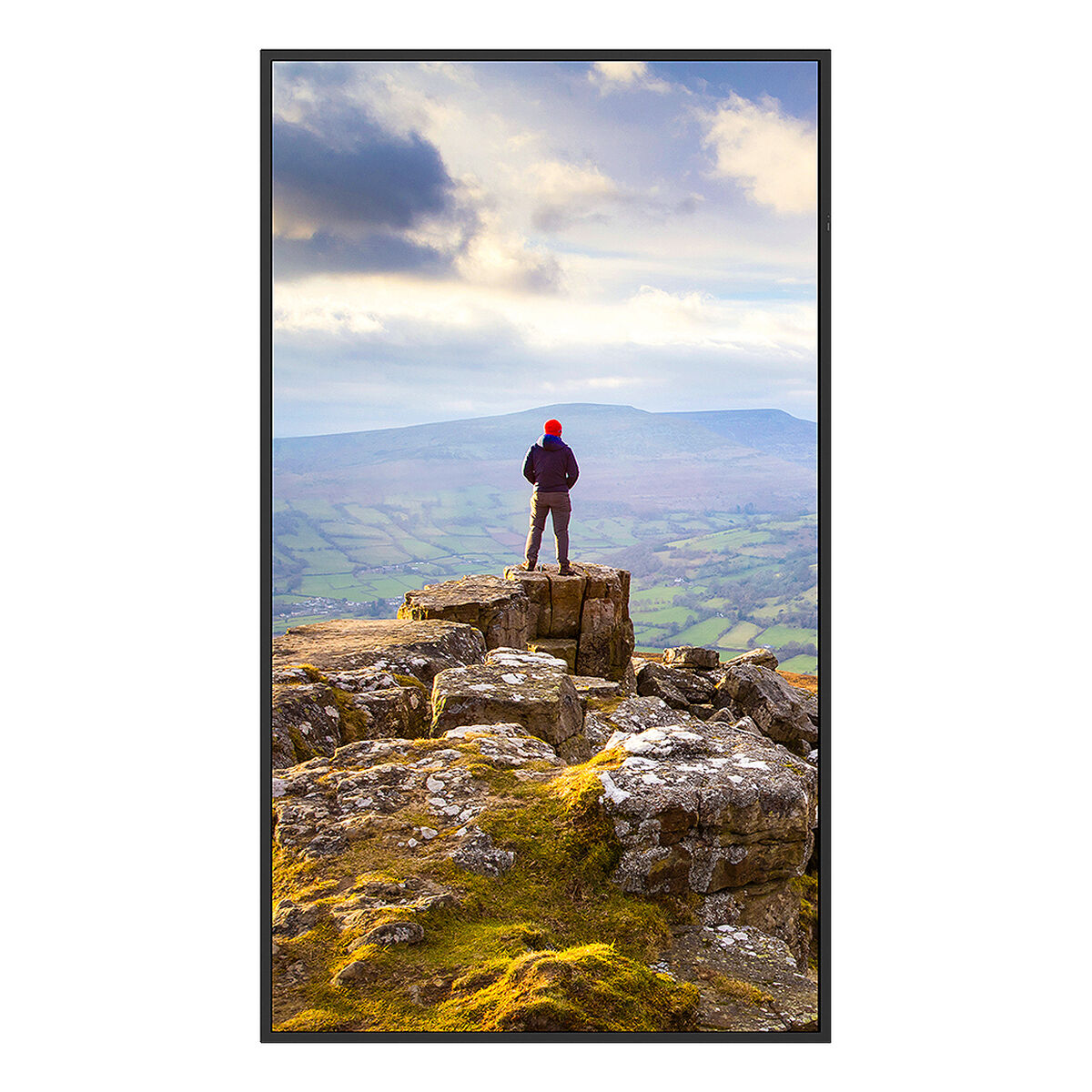 Picture of Videowall Monitor Sharp 60006181 4K Ultra HD 43"