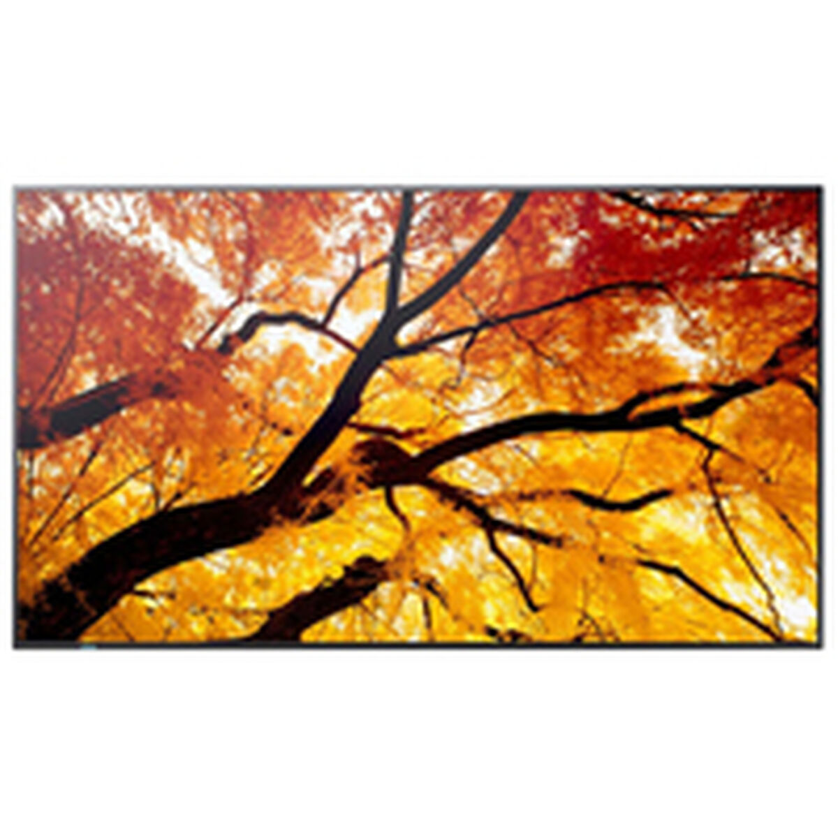 Afbeeldingen van Videowall Monitor Sharp 60006057 4K Ultra HD 74,5"