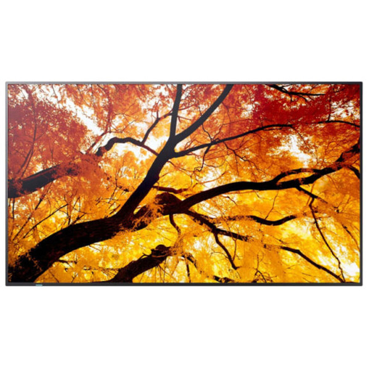 Afbeeldingen van Videowall Monitor Sharp 60006057 4K Ultra HD 74,5"