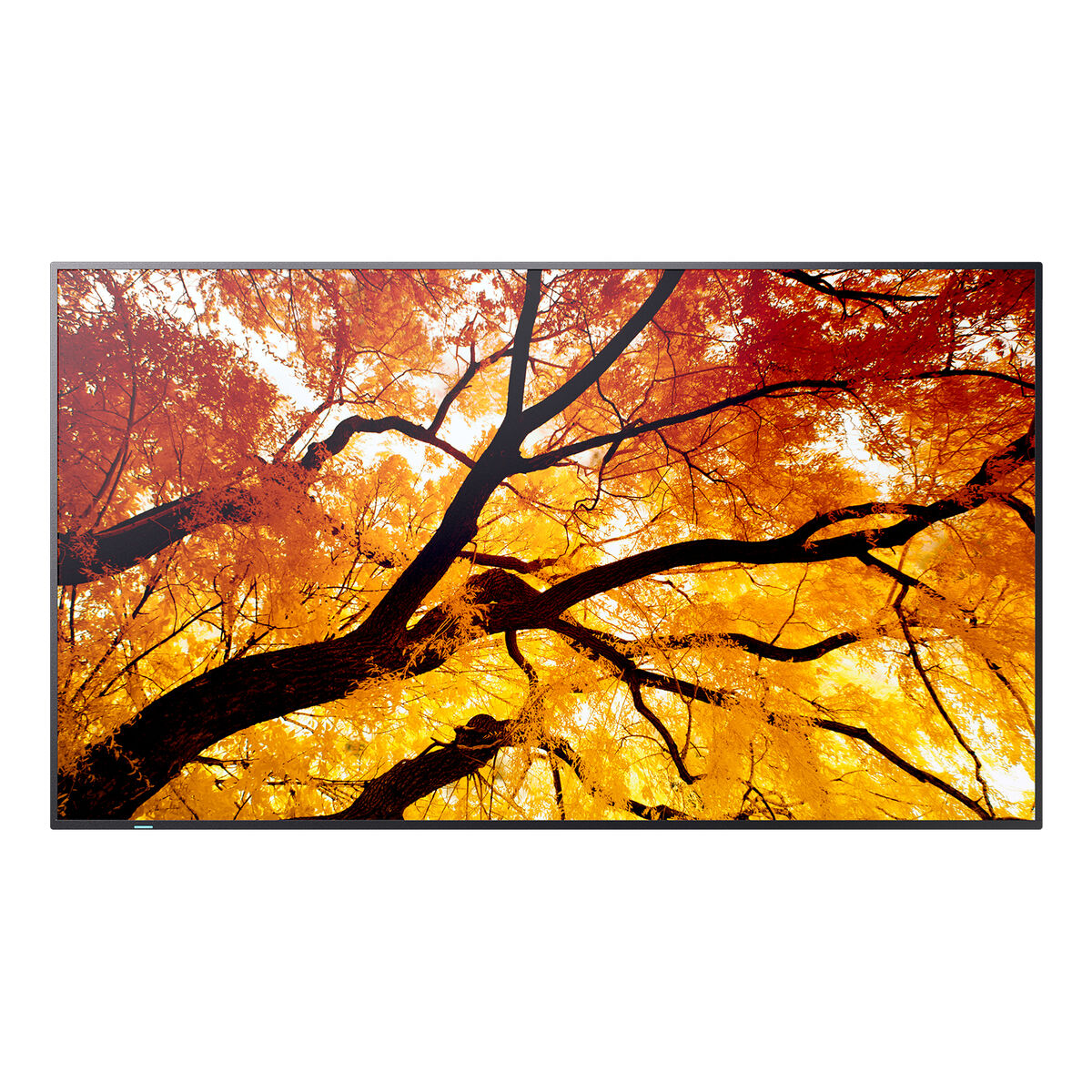 Picture of Videowall Monitor Sharp 60006058 4K Ultra HD 86"