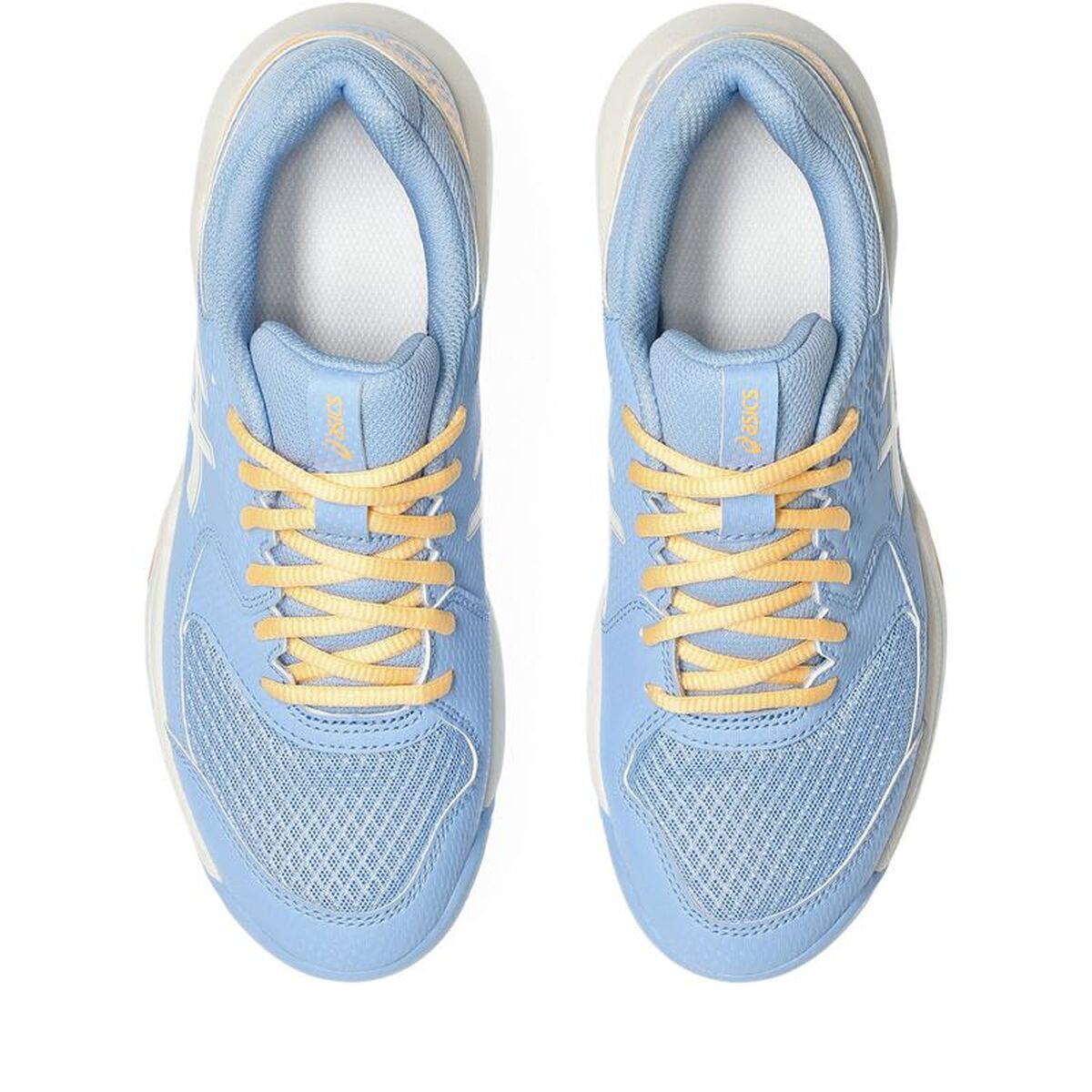 Padelschoenen voor volwassenen Asics Gel-Dedicate 8 Licht Blauw