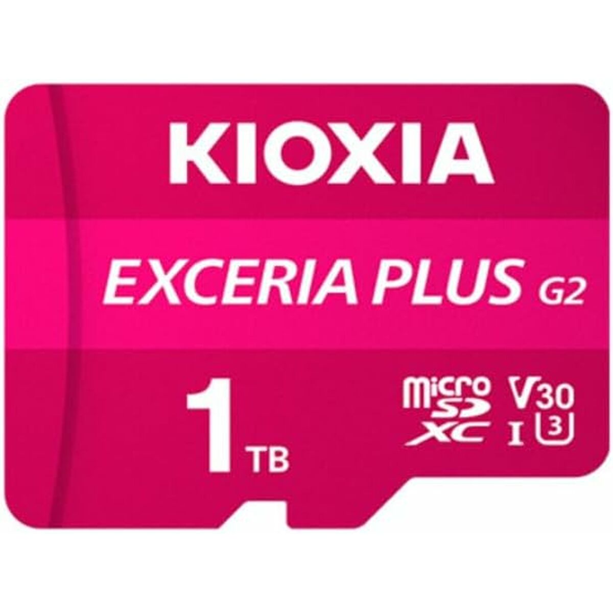 Picture of Micro SD Card Kioxia LMPL2M001TG2