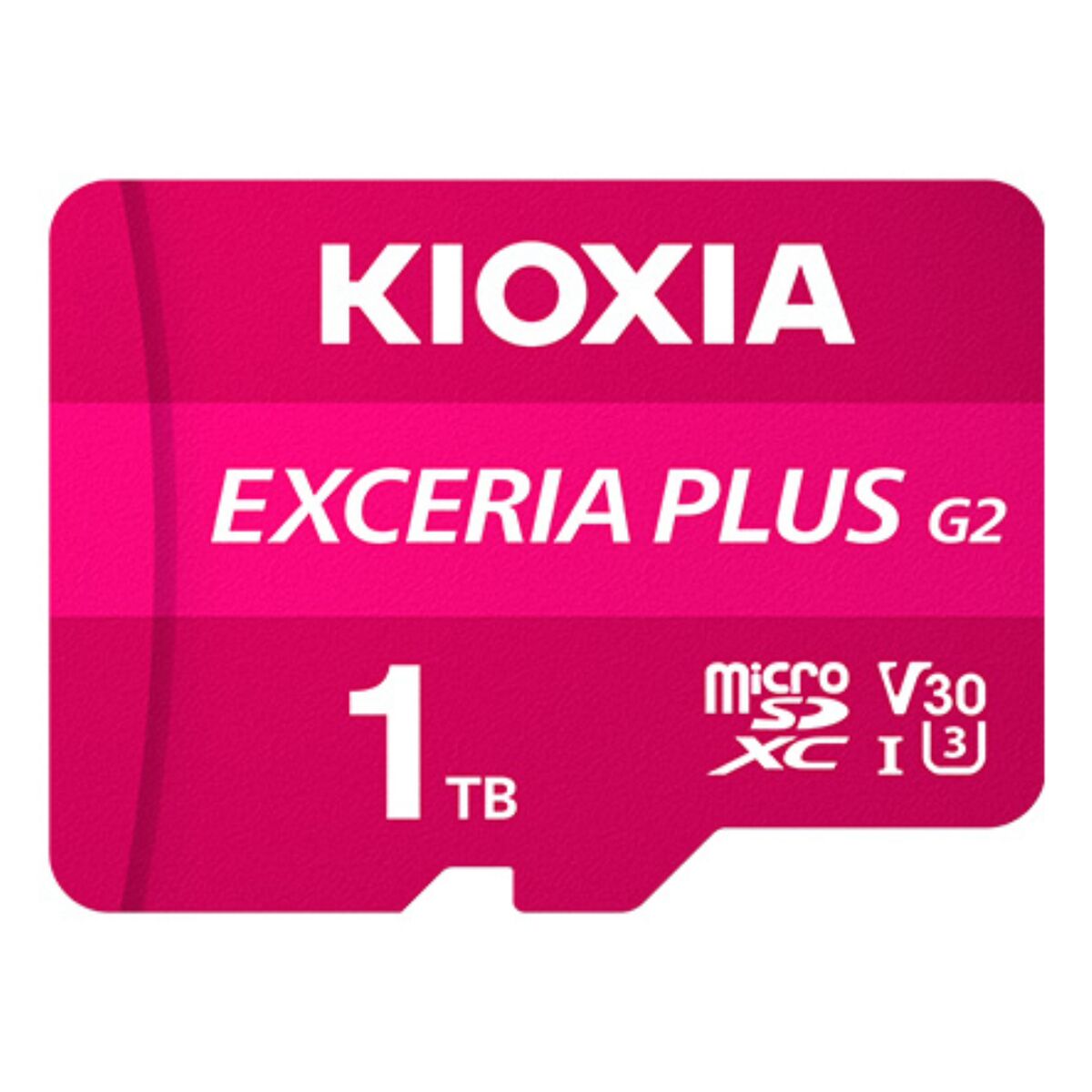 Picture of Micro SD Card Kioxia LMPL2M001TG2