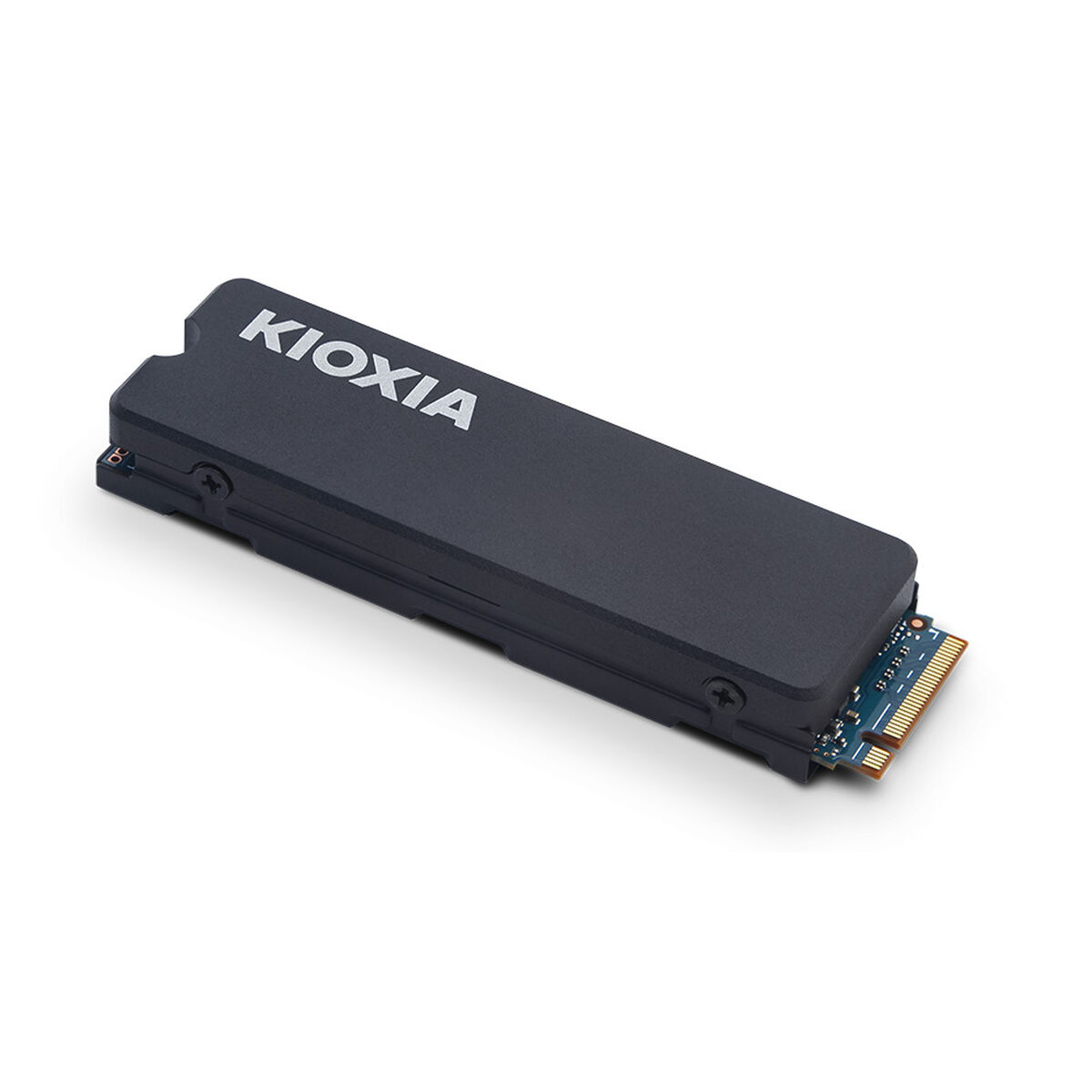 Picture of Hard Drive Kioxia Exceria Plus G3 1 TB SSD