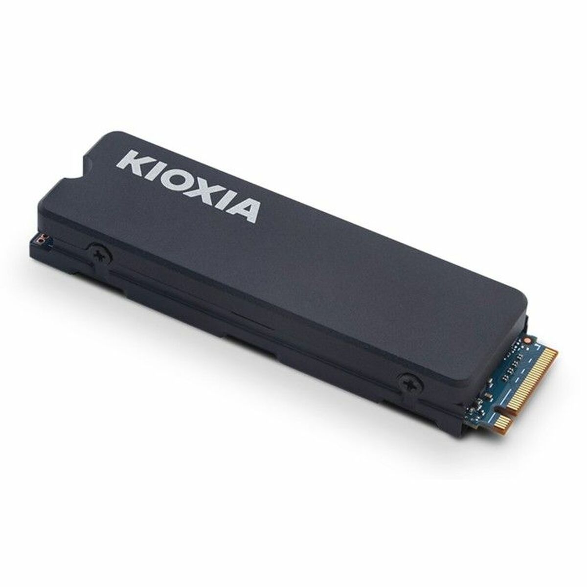 Picture of Hard Drive Kioxia Exceria Plus G3 4 TB SSD