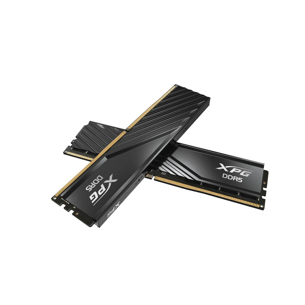 Mémoire RAM Adata AX5U6000C3016G-DTLABBK DDR5 32 GB CL40