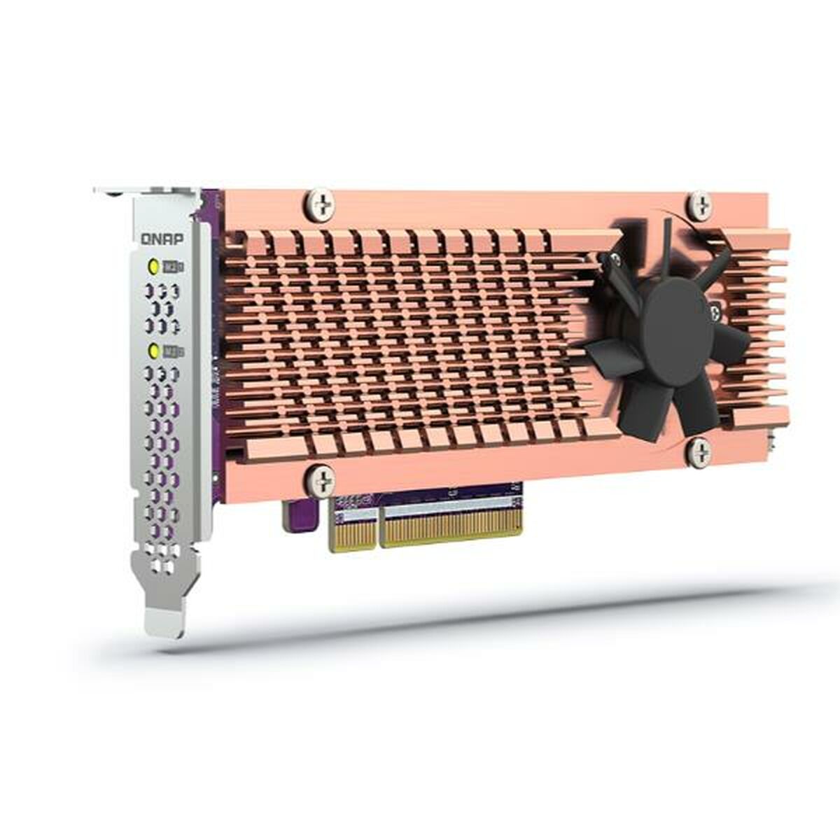 Immagine di Network Card Qnap QM2-2P-384A