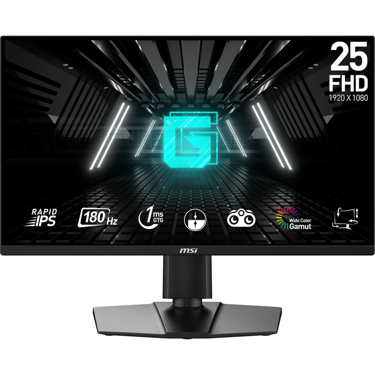 Monitor MSI G255PF E2 24,5" Full HD Picture of Monitor MSI G255PF E2 24,5" Full HD
