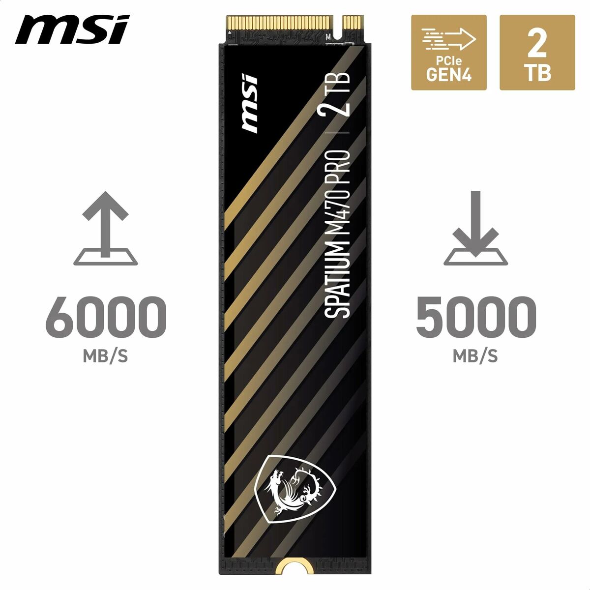 Picture of Hard Drive MSI S78-440Q990-P83 2 TB SSD