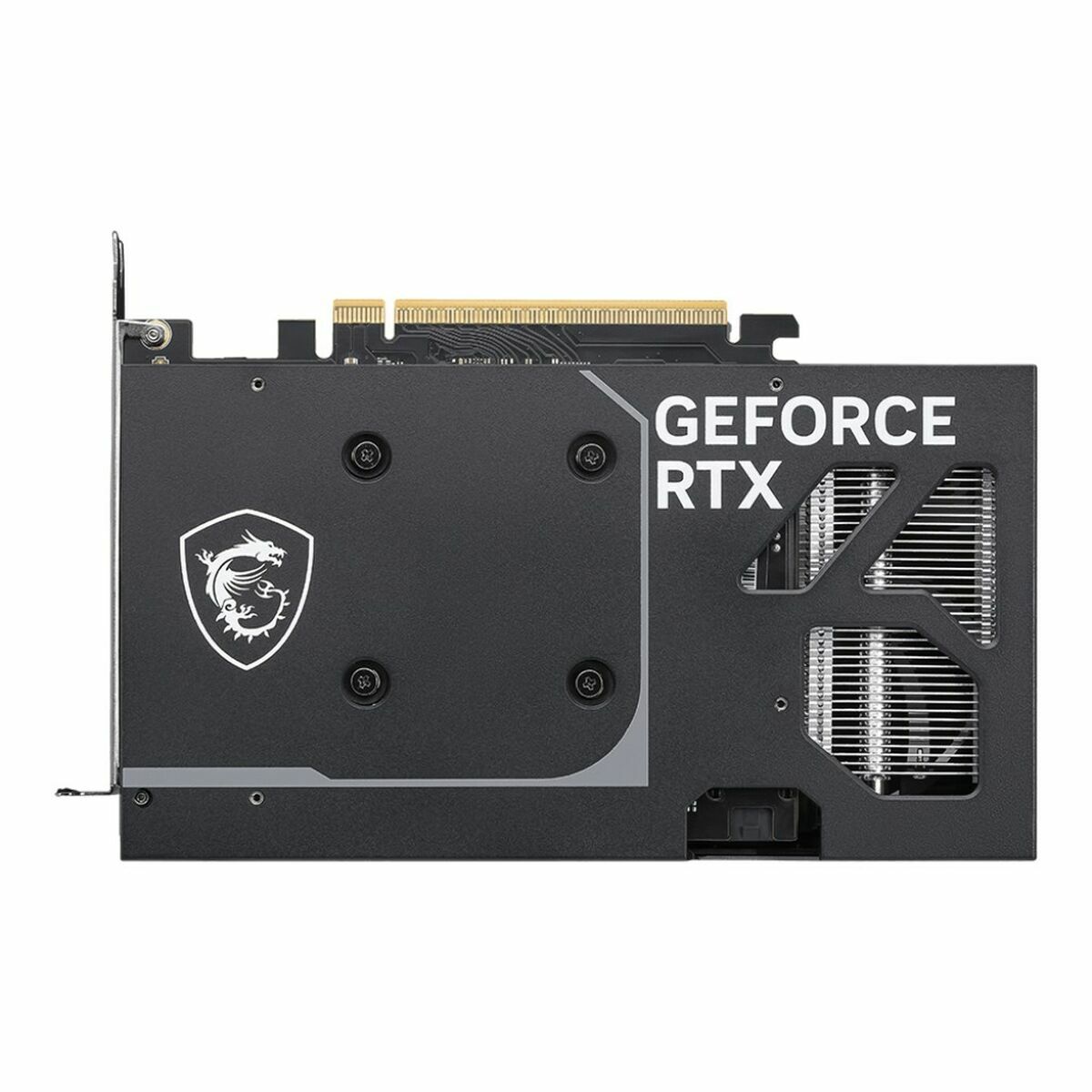 Afbeeldingen van Graphics card MSI VENTUS 2X OC GEFORCE RTX 5050 8 GB GDDR6