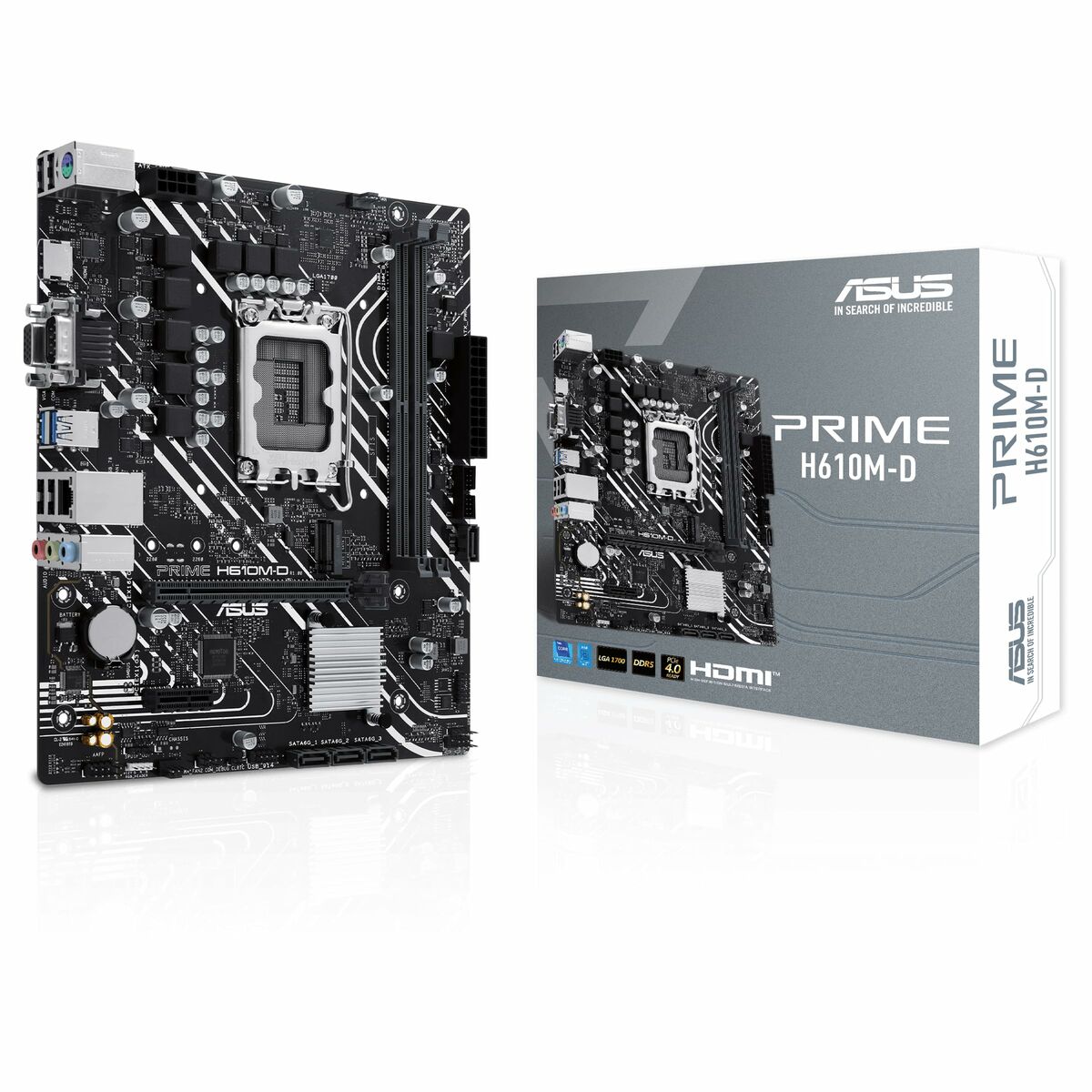 Image de Carte Mère Asus PRIME H610M-D H610 LGA 1700