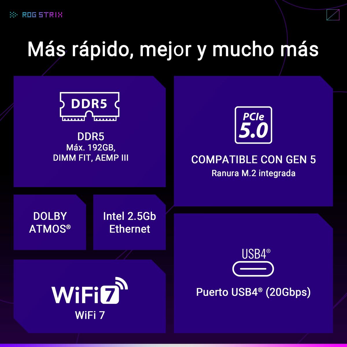 Picture of Motherboard Asus LGA 1851