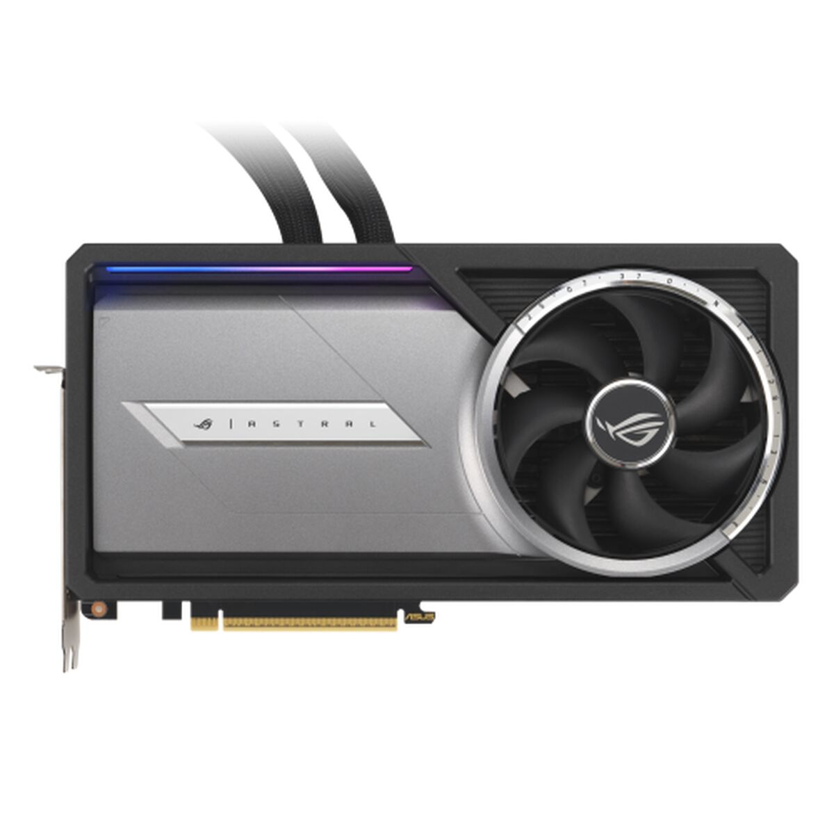 carte-graphique-asus-90yv0lw3-m0na00-5050409