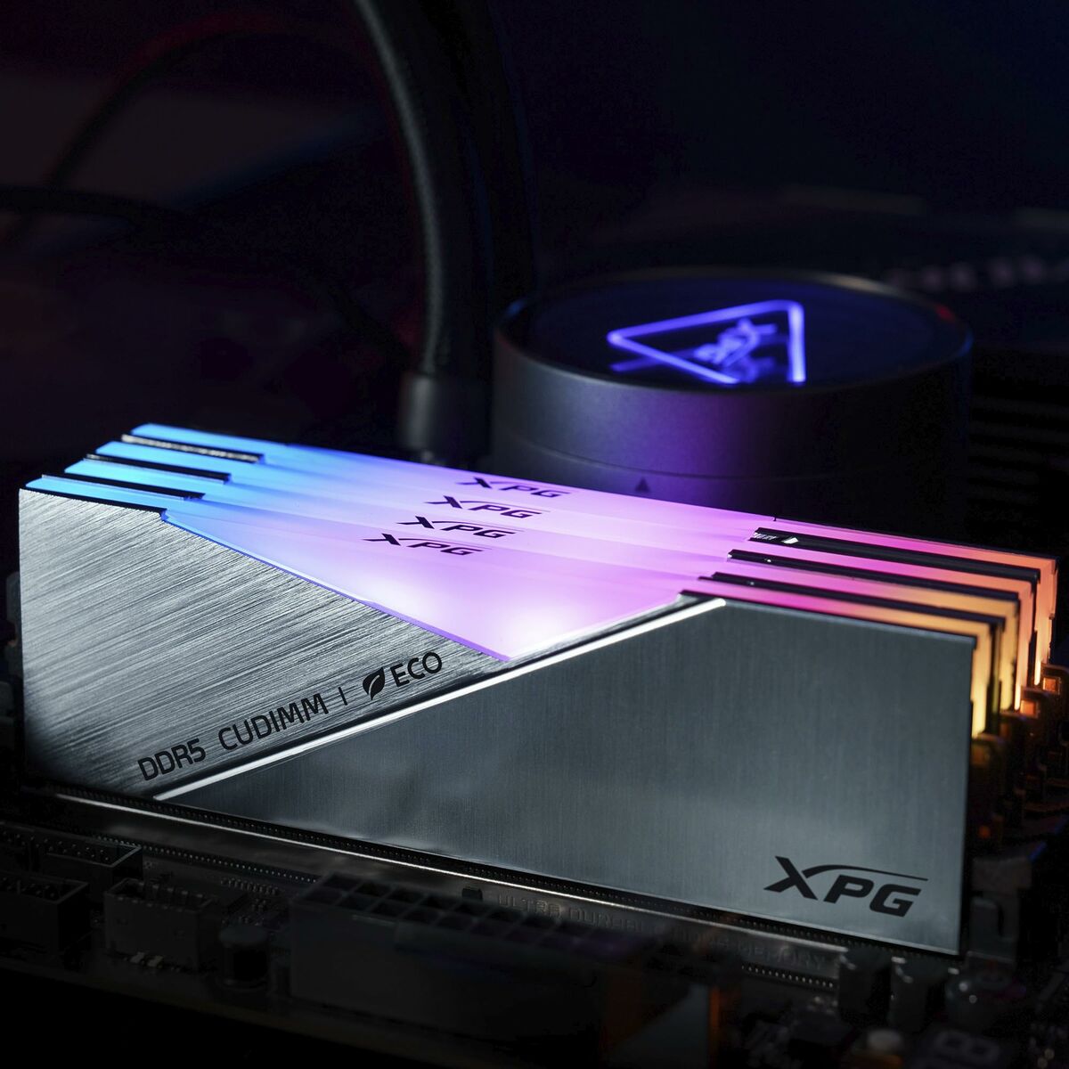 Afbeeldingen van RAM Memory Adata AX5CU8400C4024G-DCLACRSG 24 GB DDR5 CL40