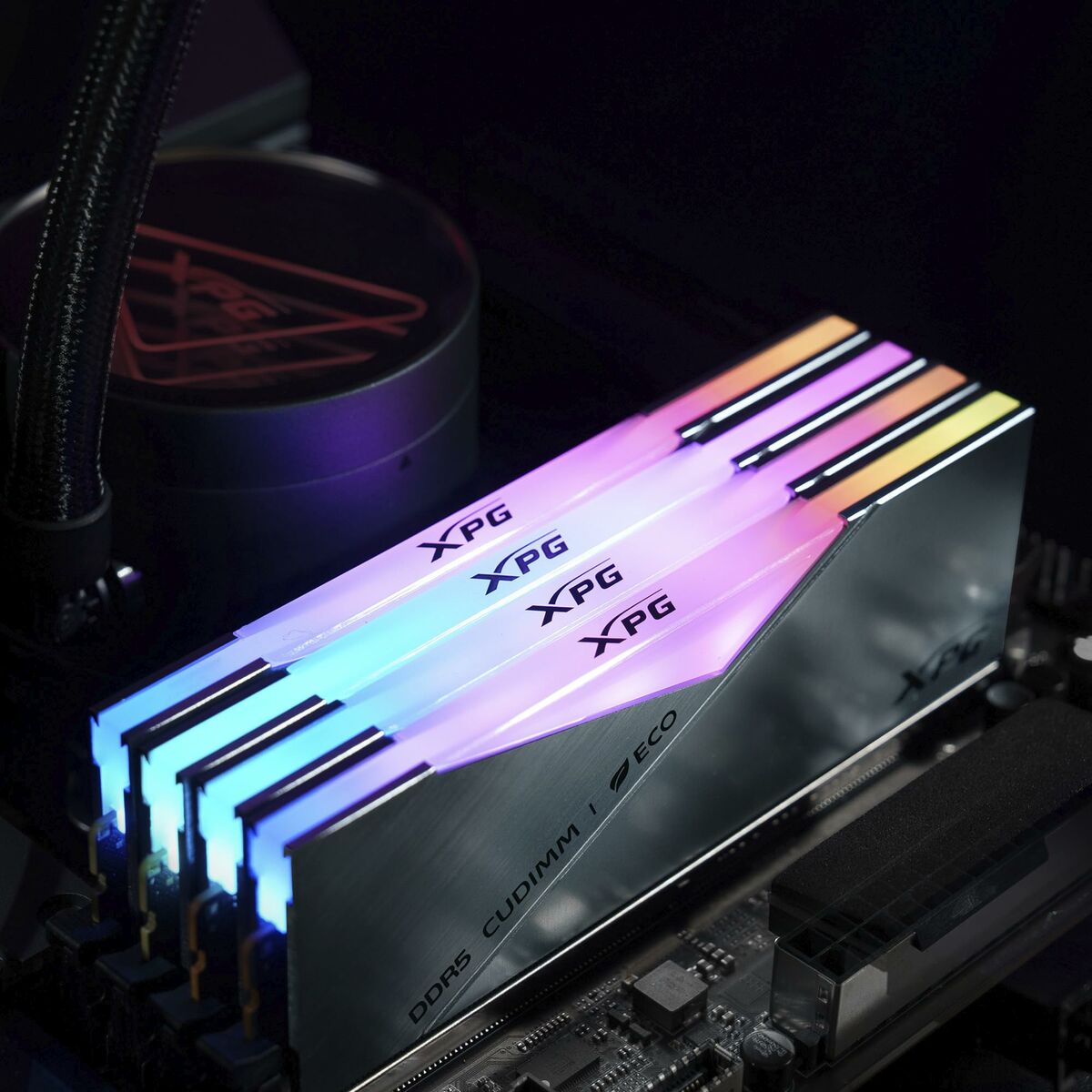 Afbeeldingen van RAM Memory Adata AX5CU8400C4024G-DCLACRSG 24 GB DDR5 CL40