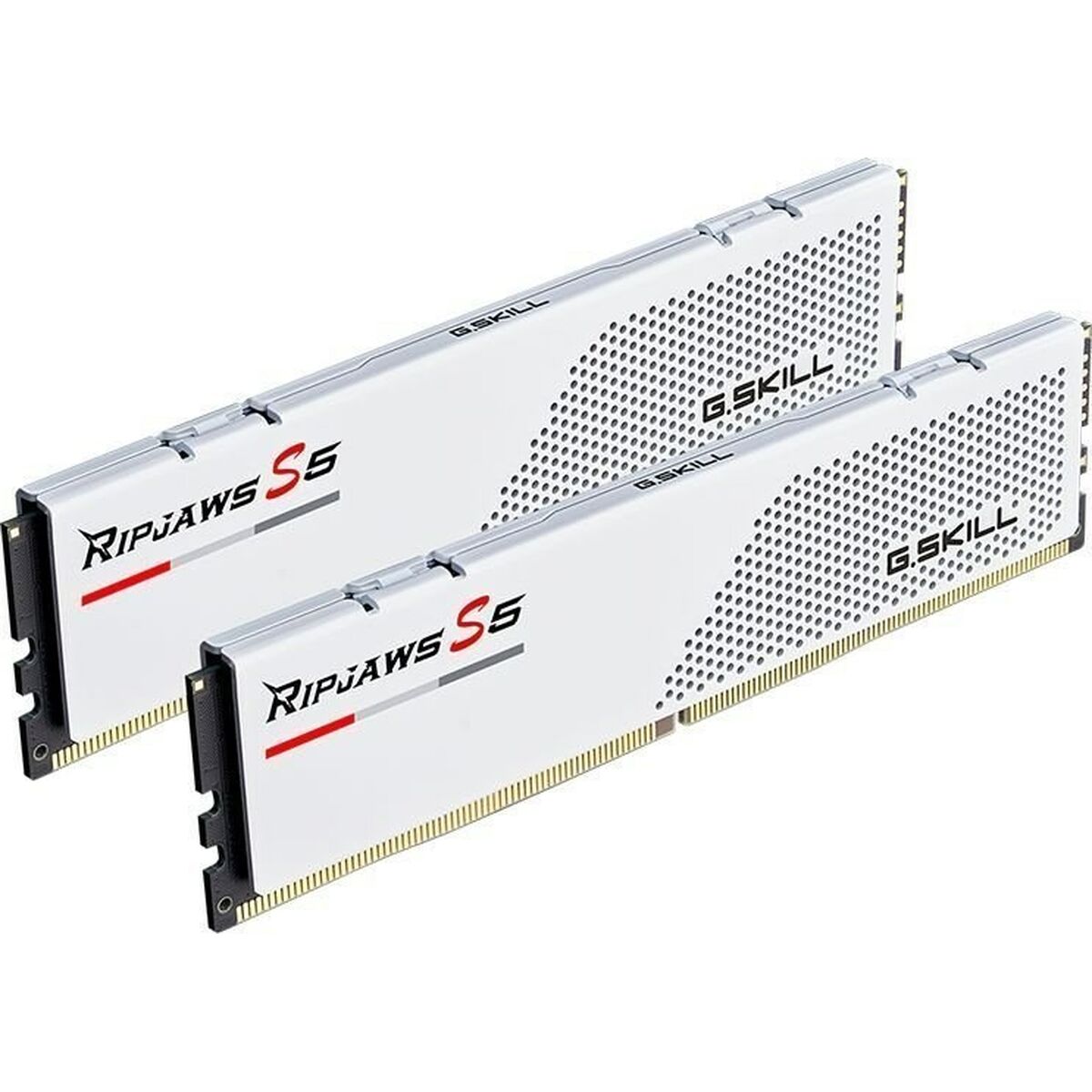 Mémoire RAM GSKILL F5-6000J3636F16GX2-FX5W