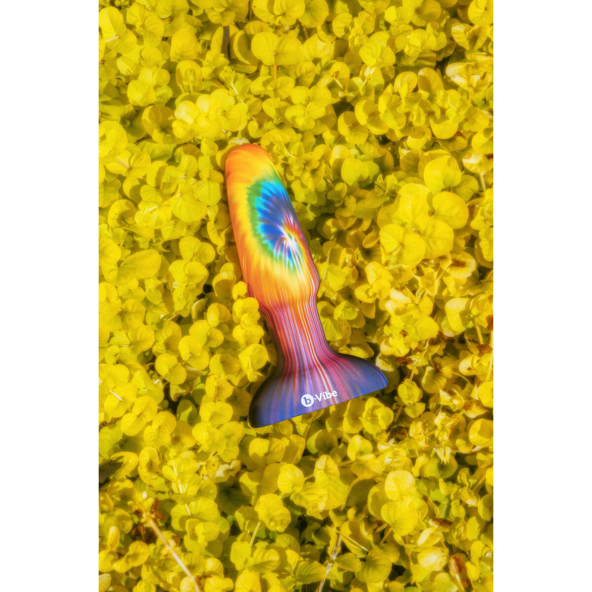 Anální kolík B-Vibe Vícebarevný (12 cm)