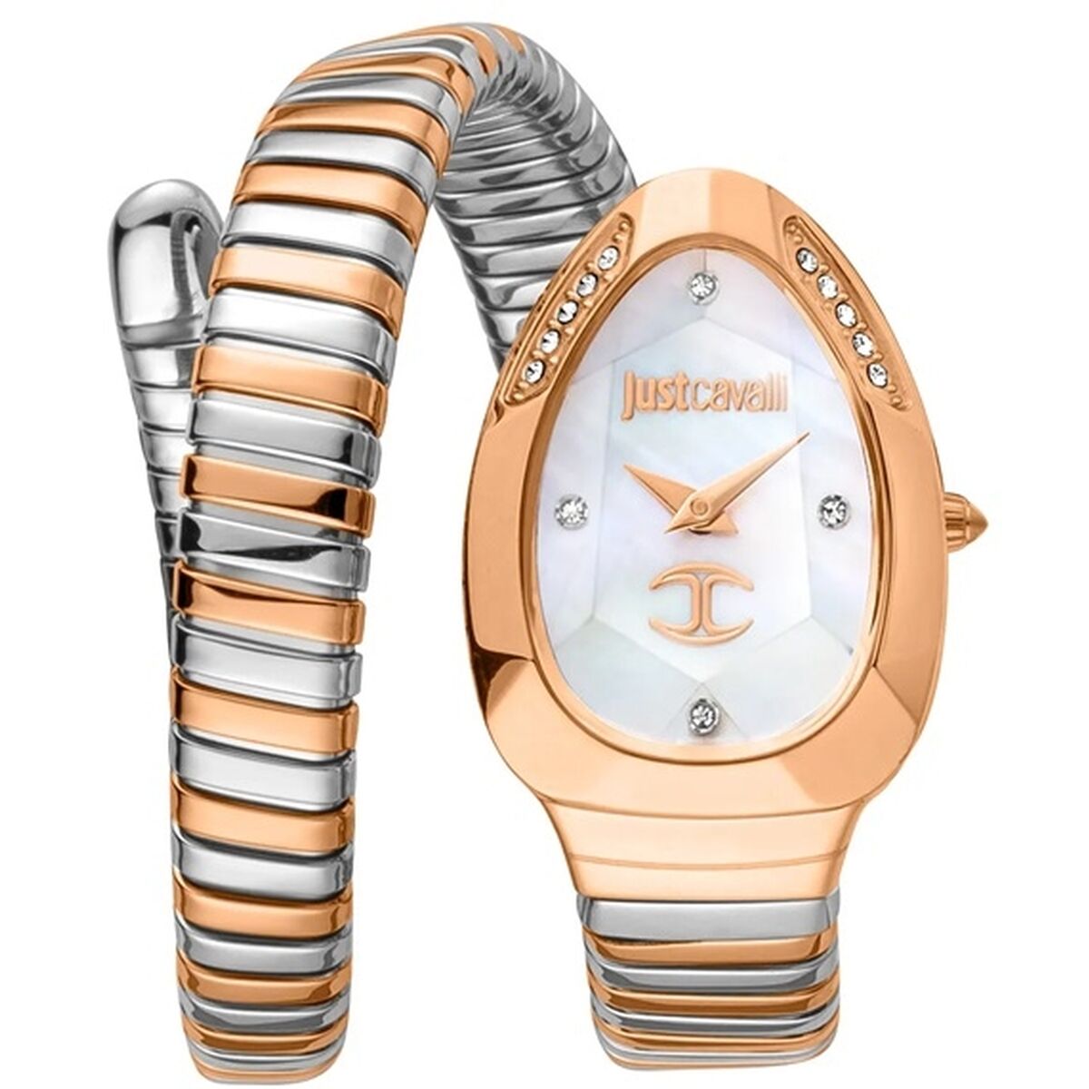 Montre Femme Just Cavalli SNAKE (Ø 22 mm)