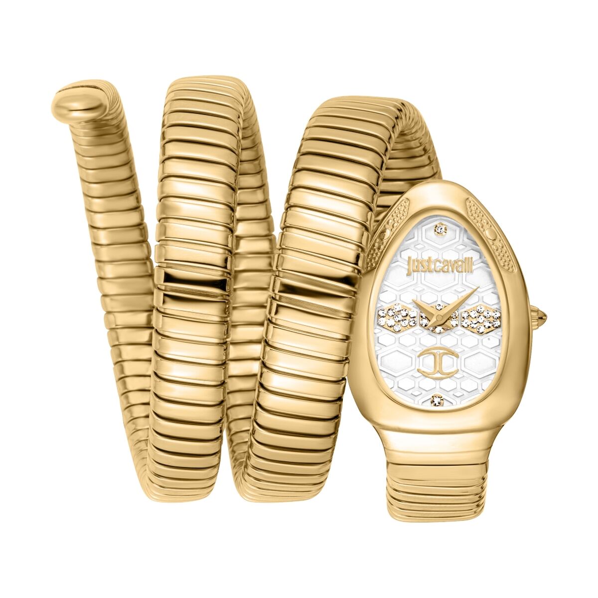 Montre Femme Just Cavalli COSENZA 2023-24 COLLECTION