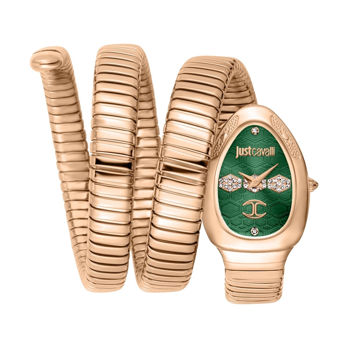 Ladies' Watch Just Cavalli COSENZA 2023-24 COLLECTION