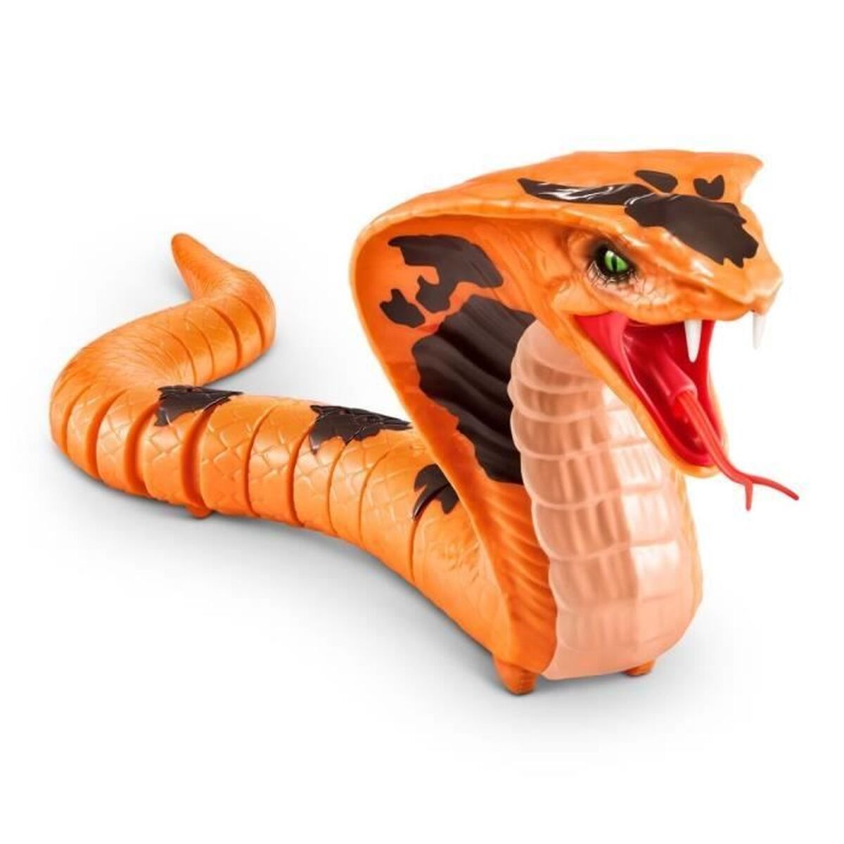 Picture of Robot Zuru