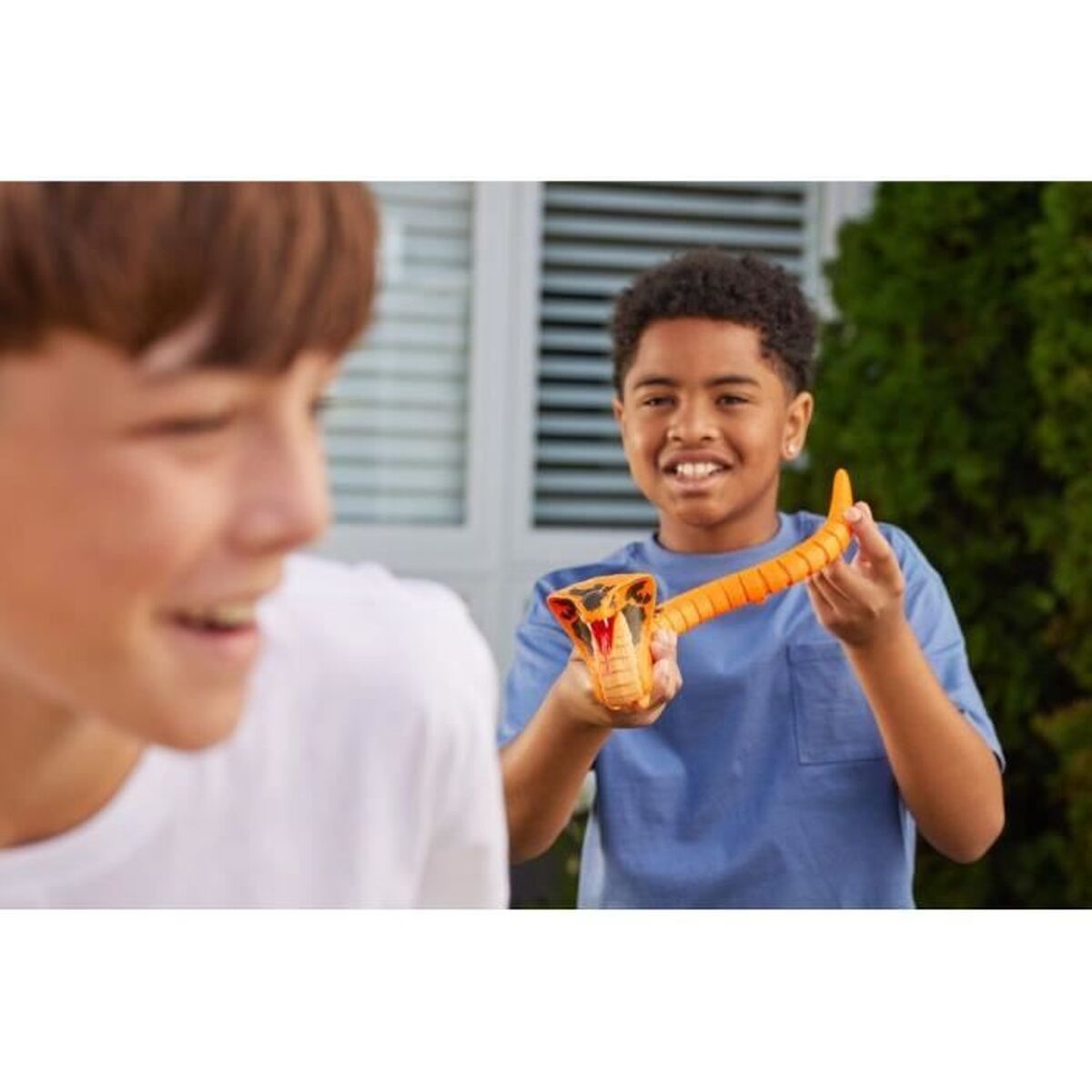 Picture of Robot Zuru