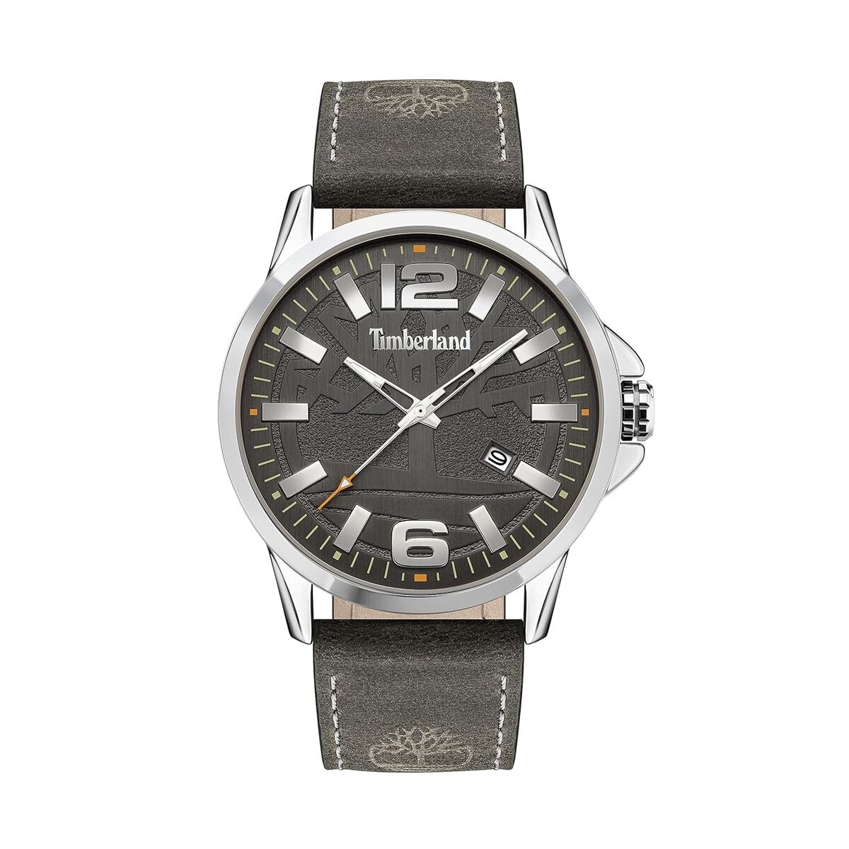 Montre Homme Timberland TDWJB2004201