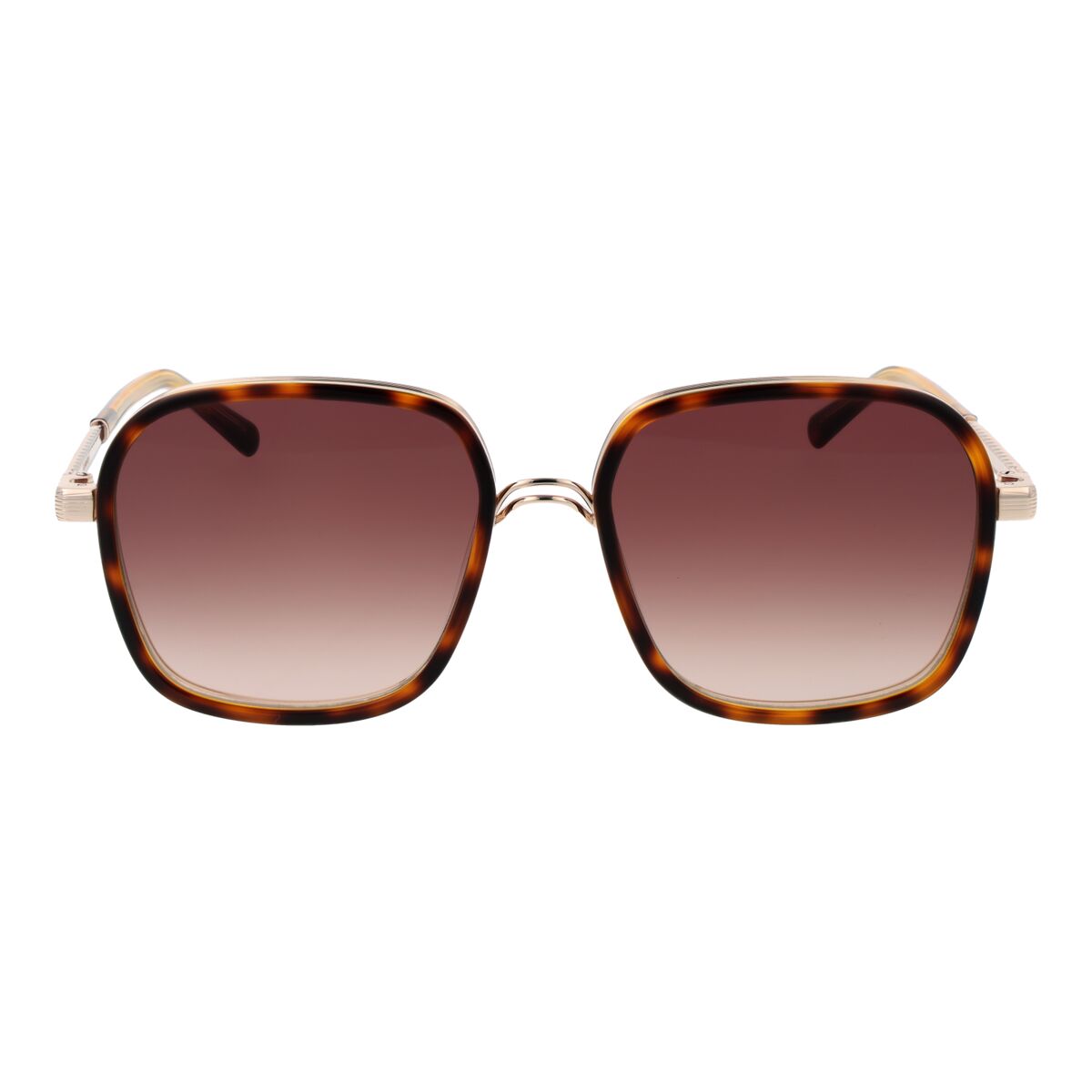 Zonnebril Dames Sandro Paris SD6050 54170