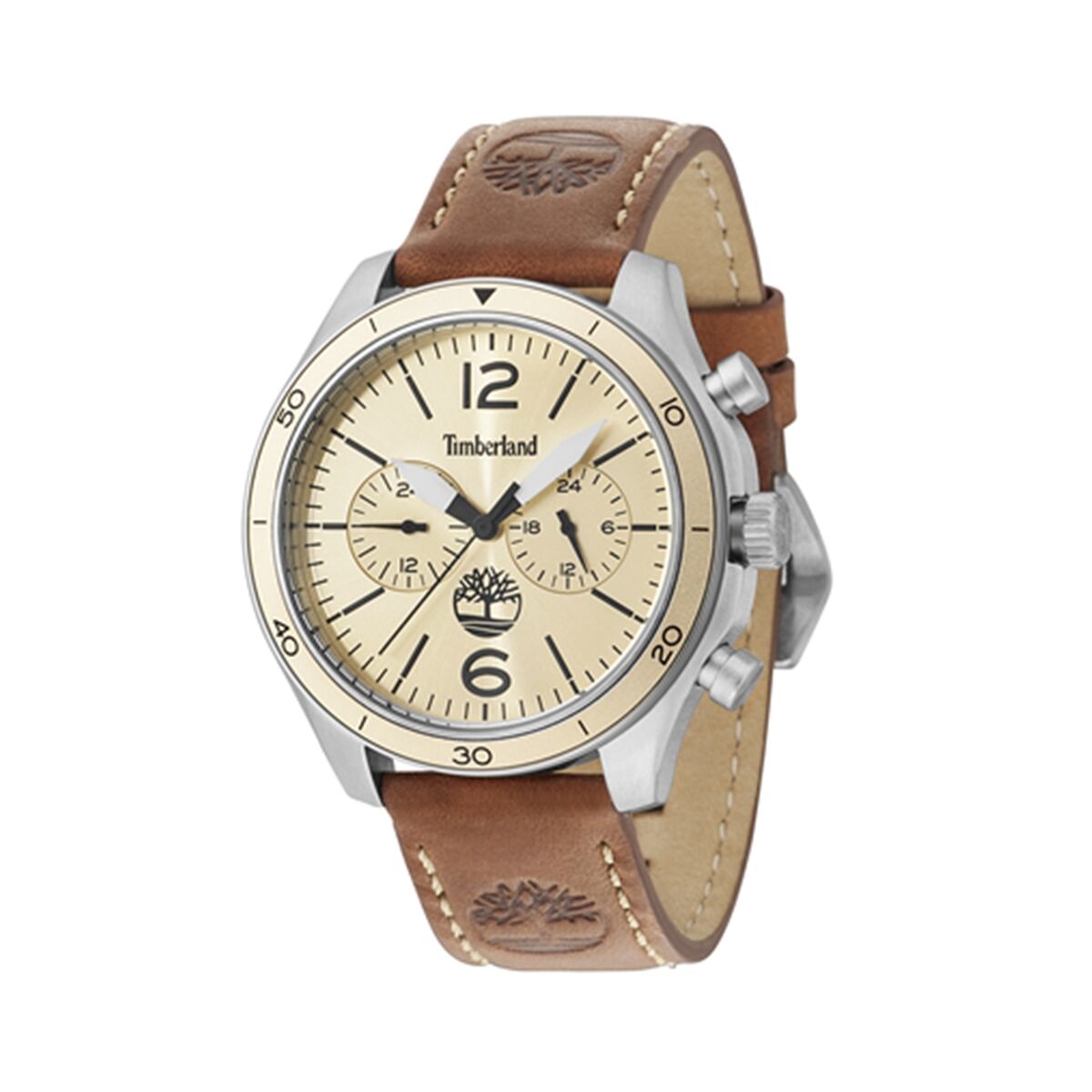 Horloge Heren Timberland TBL15255JS07