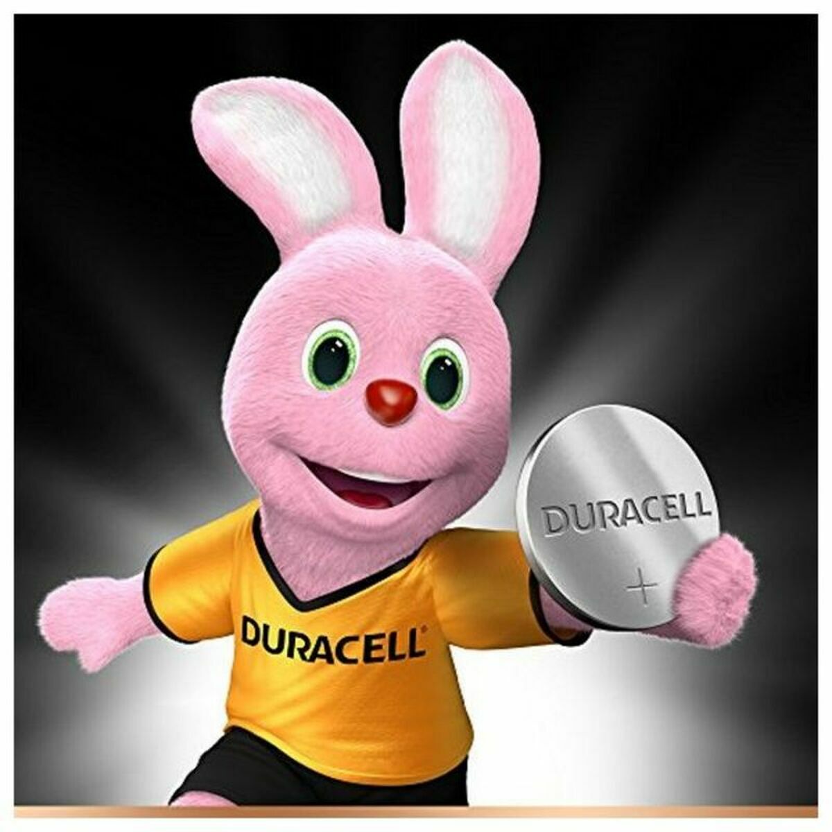 Afbeeldingen van Lithium Button Cell Battery DURACELL Duracell 2450 3 V
