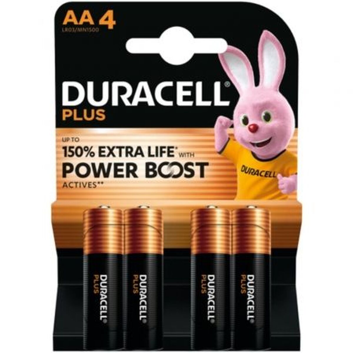 Image secondaire de Piles Rechargeables DURACELL 5000394176034 1,5 V