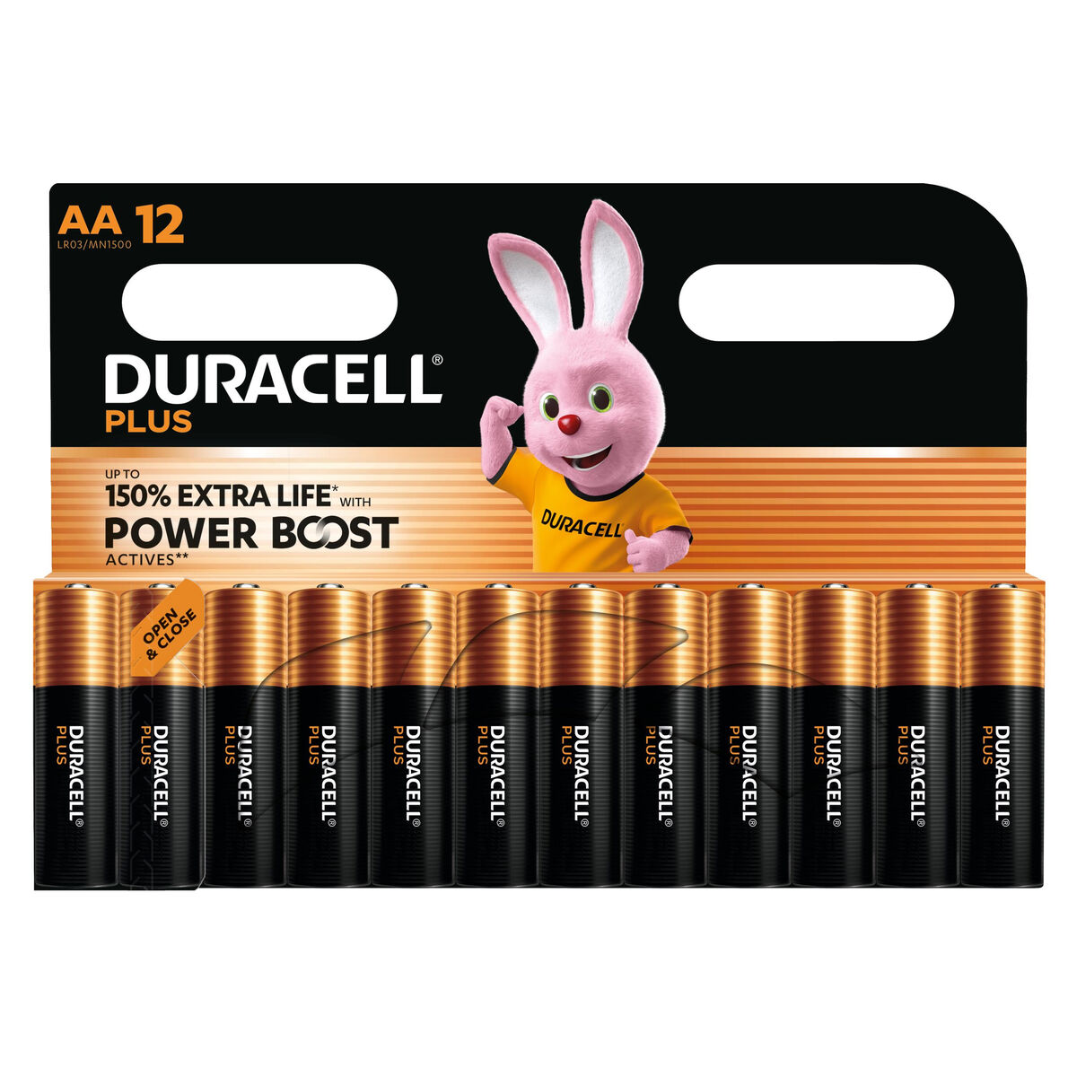 Image de Rechargeable Batteries DURACELL DPBLR6B12 1,5 V