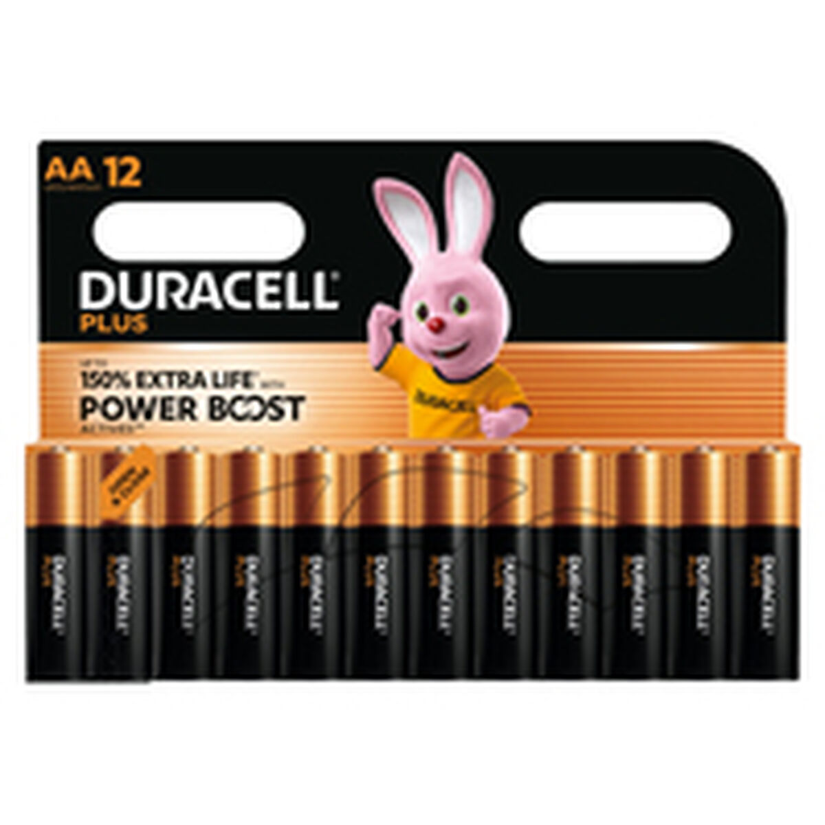 Image de Rechargeable Batteries DURACELL DPBLR6B12 1,5 V