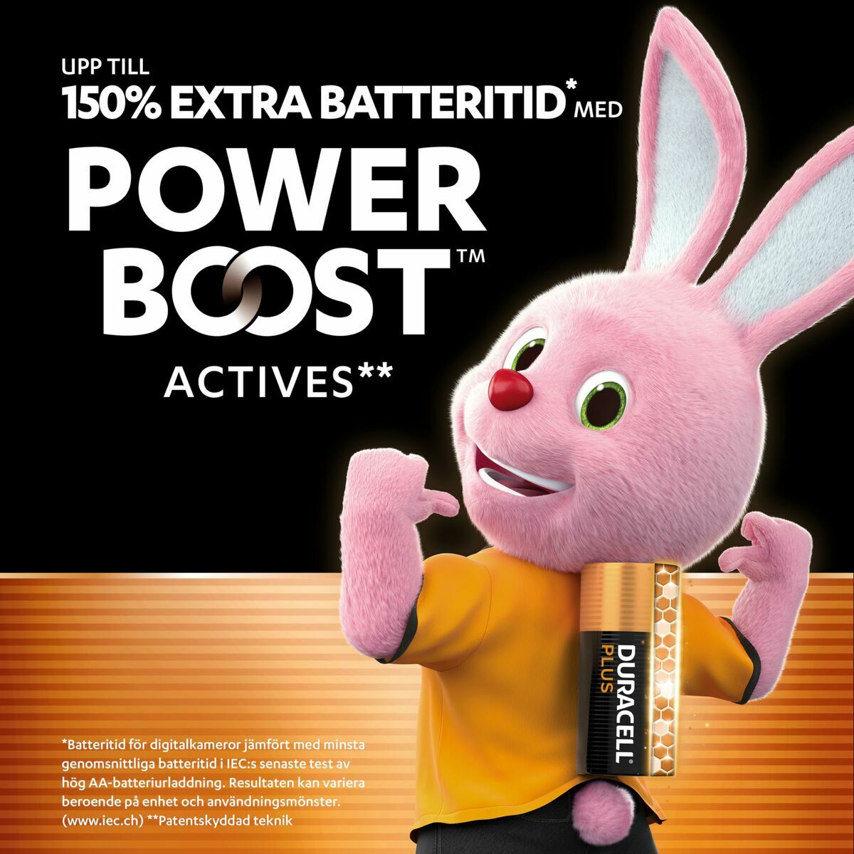 Image de Rechargeable Batteries DURACELL DPBLR6B12 1,5 V