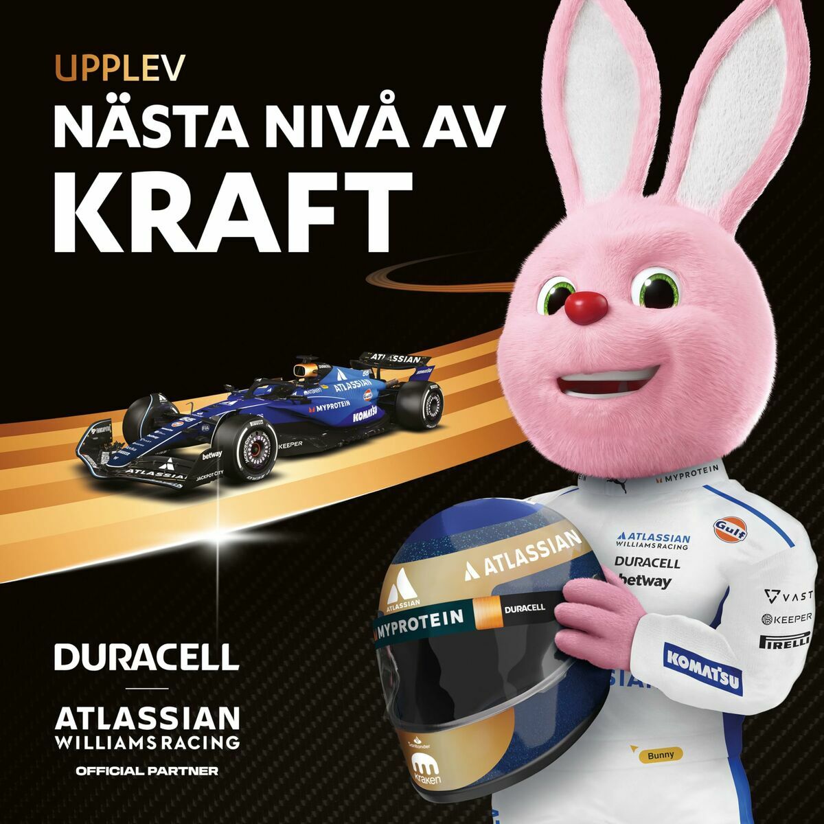 Image de Rechargeable Batteries DURACELL DPBLR6B12 1,5 V