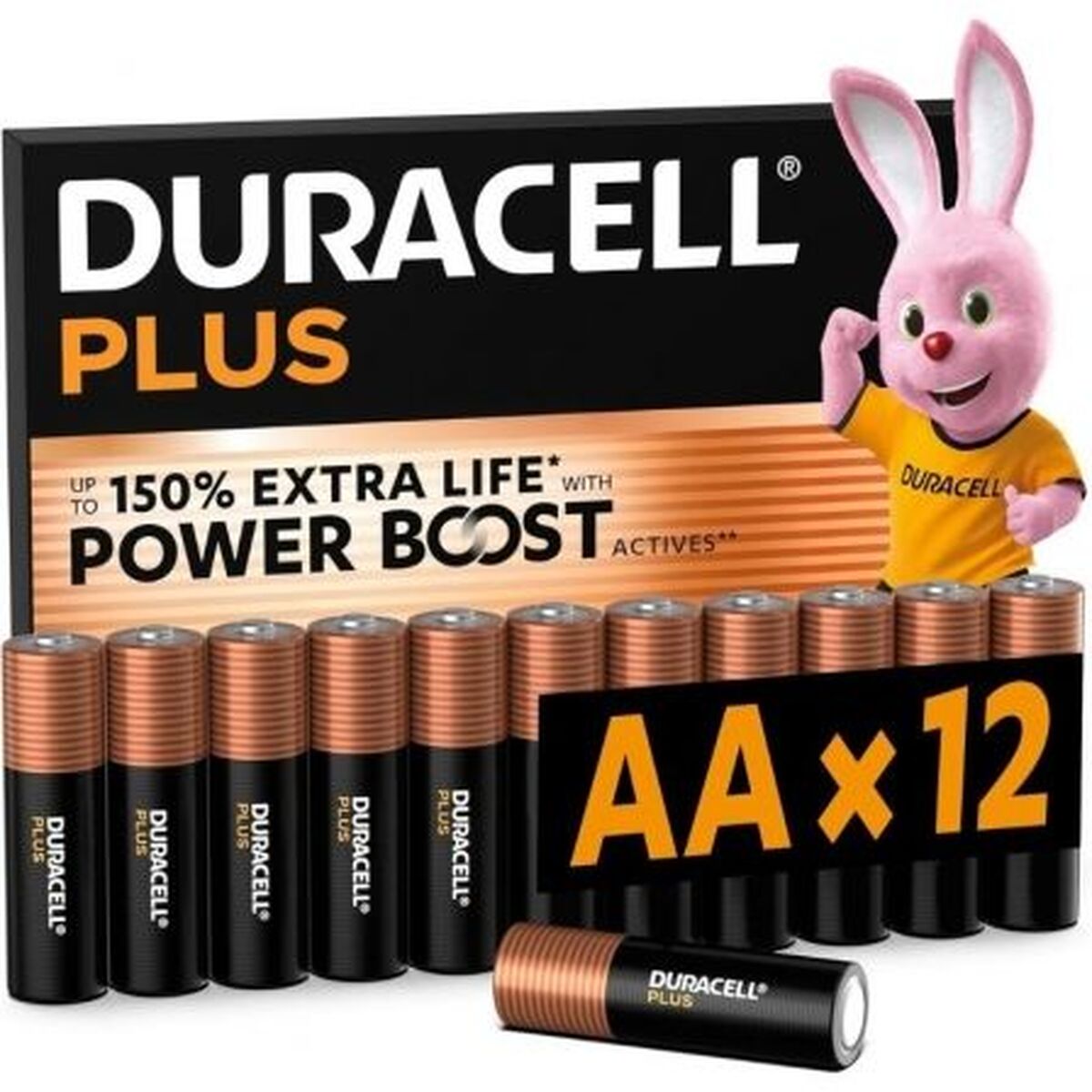 Image de Rechargeable Batteries DURACELL DPBLR6B12 1,5 V