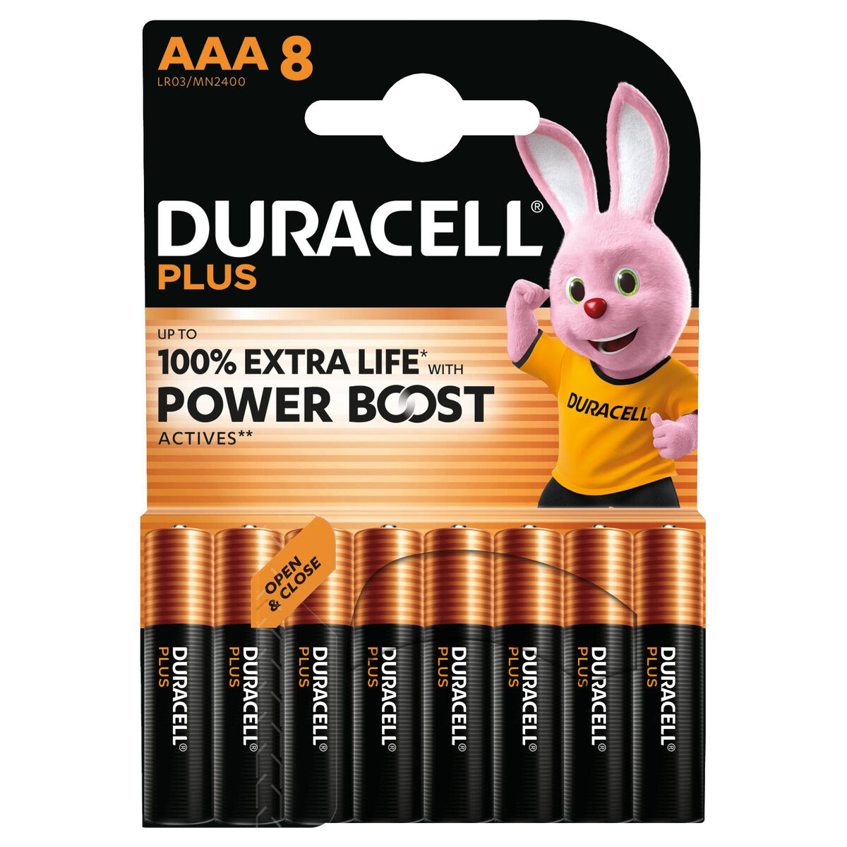 Image secondaire de Piles Rechargeables DURACELL DPBLR3B8 1,5 V AAA
