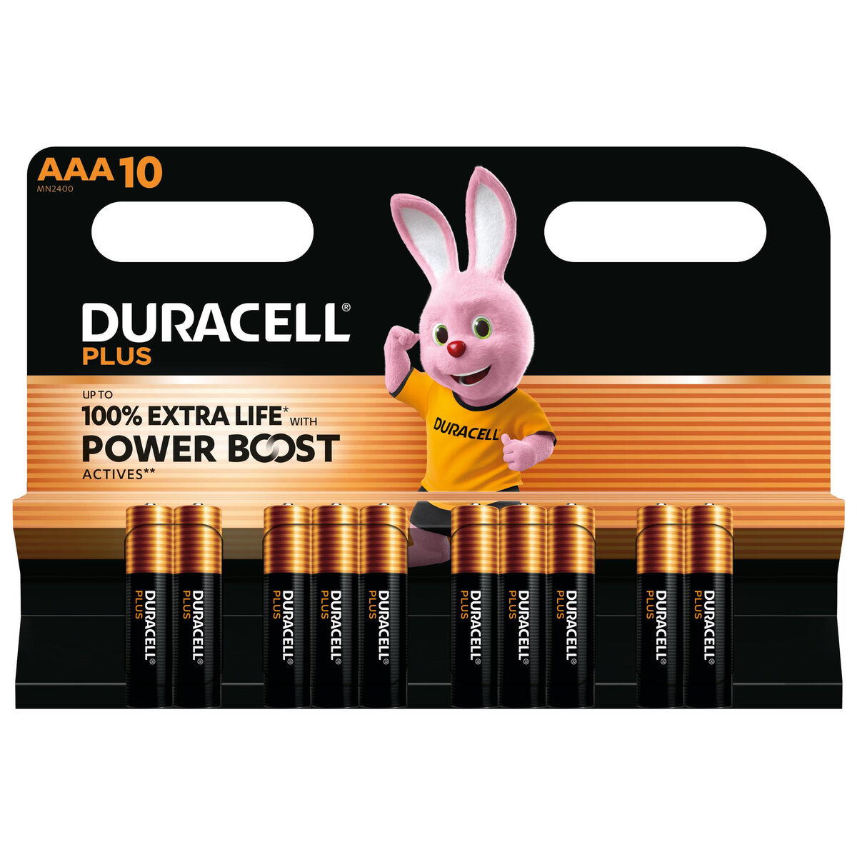 Image secondaire de Piles Rechargeables DURACELL DPBLR3B10 AAA