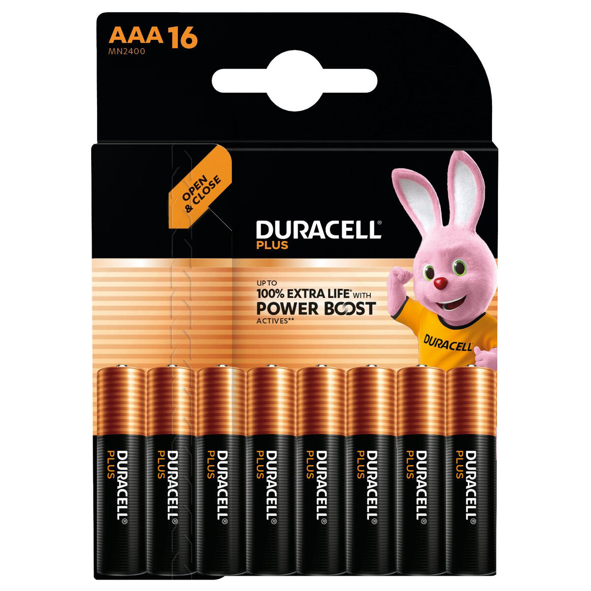 Afbeeldingen van Batteries DURACELL DPBLR3B16 1,5 V AAA