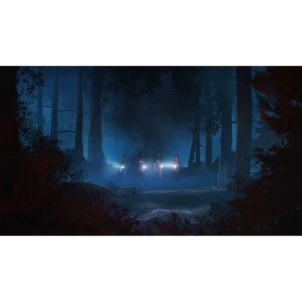 Afbeeldingen van PlayStation 5 Video Game Just For Games Lost Records: Bloom & Rage